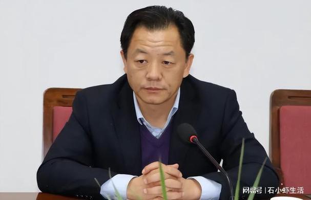 河南一政府副县长被查