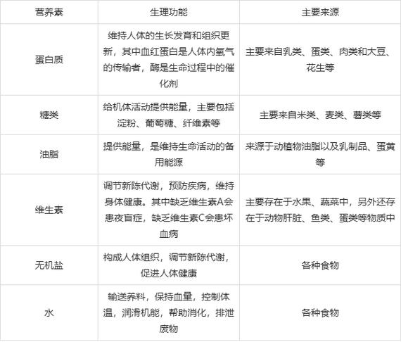 初三化学必背48个元素