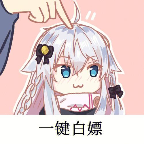白嫖的来历