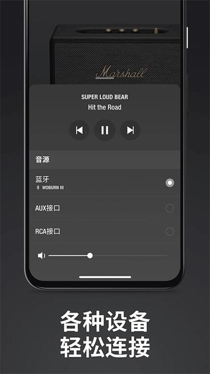 连接蓝牙的软件