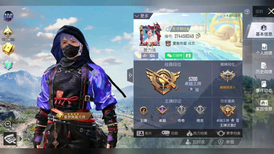和平精英难言游戏ID