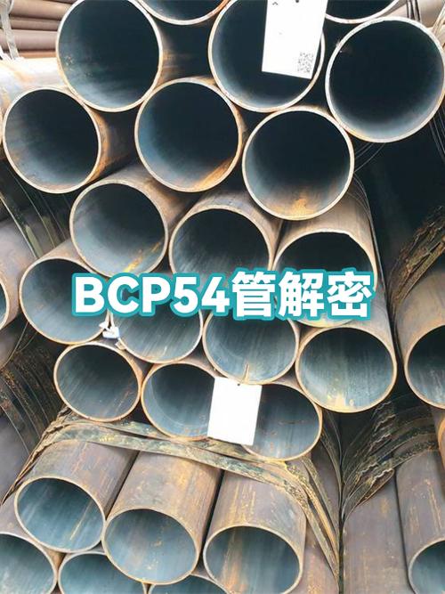 bcp是什么意思
