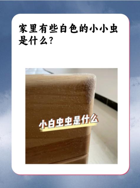 书上一点点小的虫子