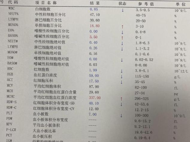 老滚5血液代码缩略图