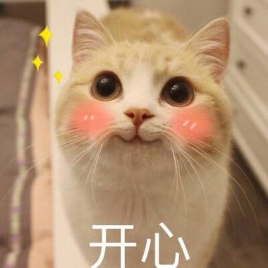 超级开心的表情包