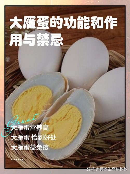 荒野大镖客2大雁蛋