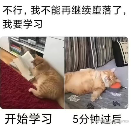 大年初二搞笑段子