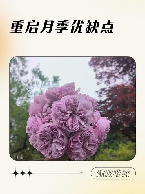 美团评价可以删除重新评价吗