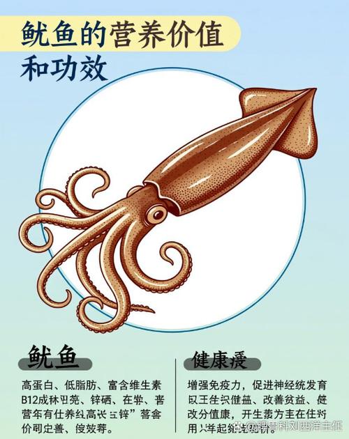 鱿鱼是高蛋白食物吗