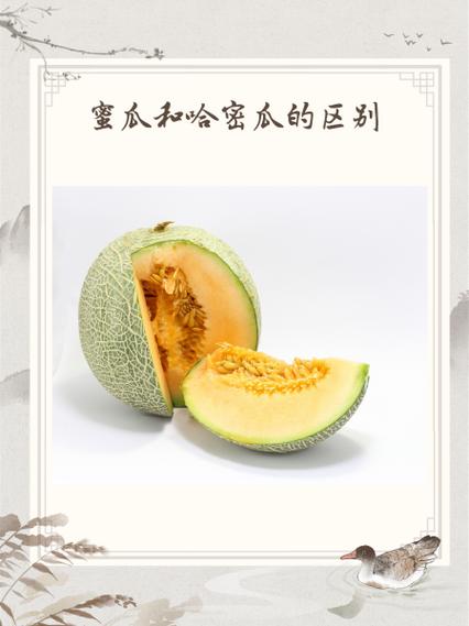 蜜瓜和哈密瓜区别缩略图