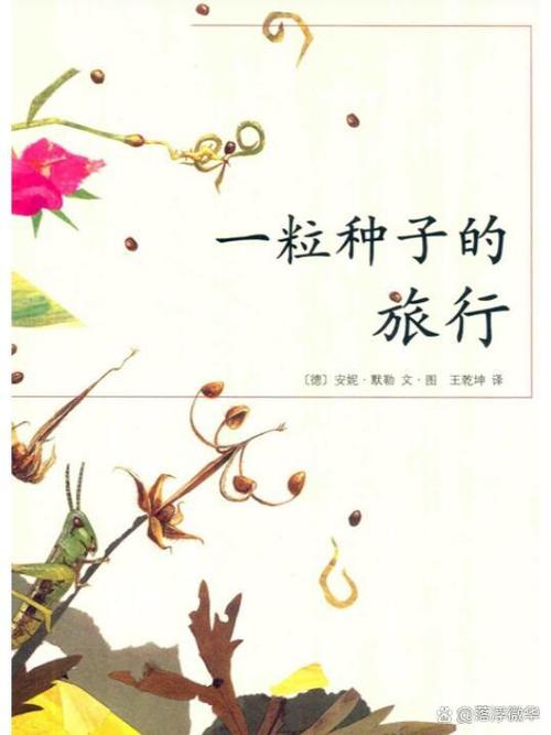 一粒种子的旅行告诉我们什么