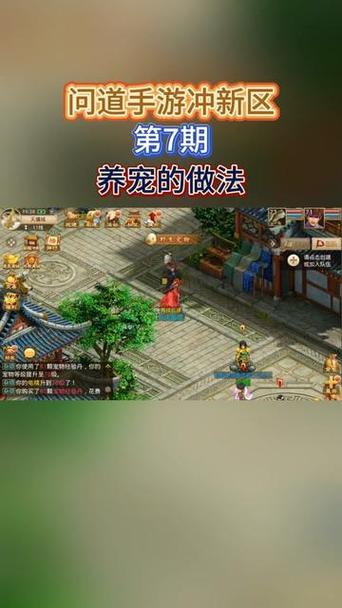 问道成品宝宝刷亲密