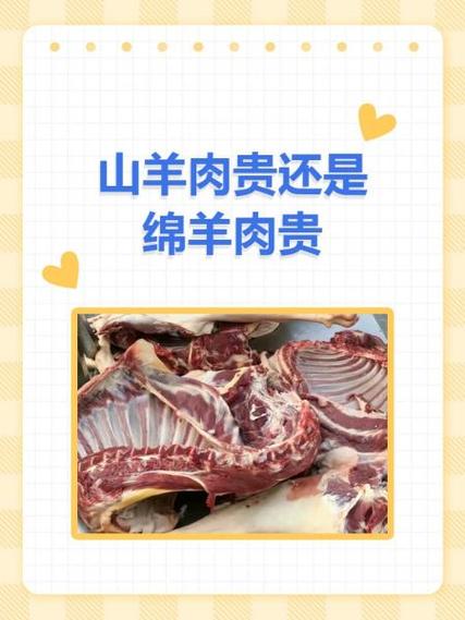 山羊肉贵还是绵羊肉贵