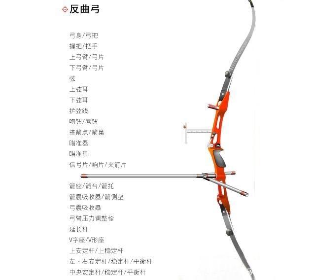 复合弓反曲弓威力区别