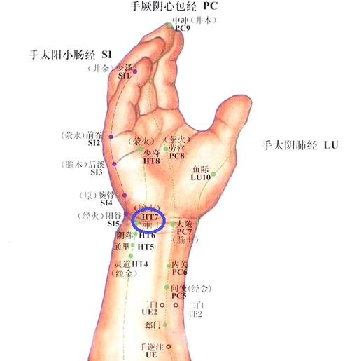 手经络图解大全 十二经脉