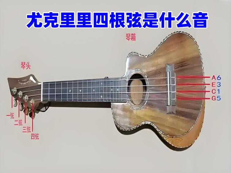 旋律还是弦律游戏截图