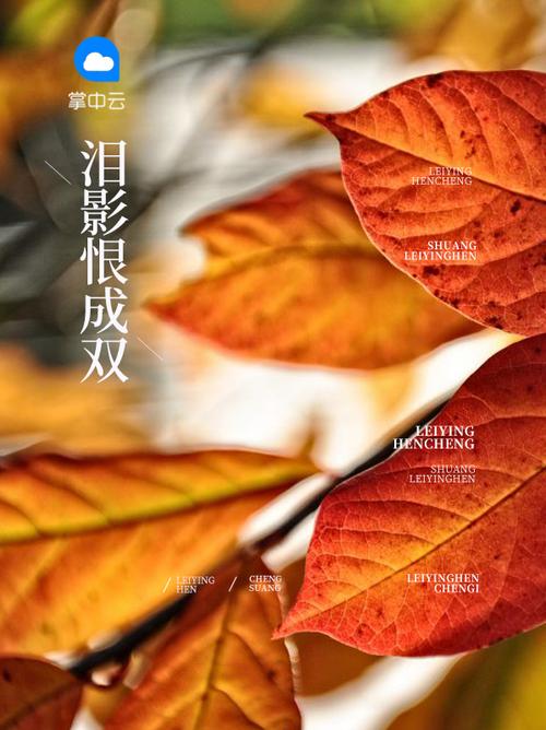 近几年催泪电影