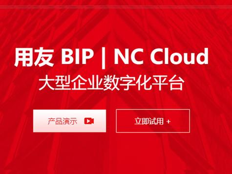 小企业用友用哪个版本