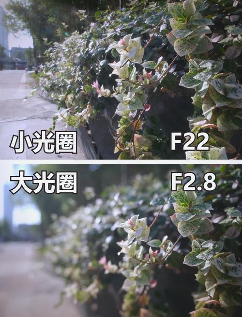 小棱光合成大棱光图纸