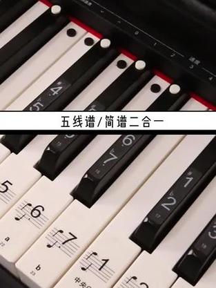 88键电子琴贴详细贴图