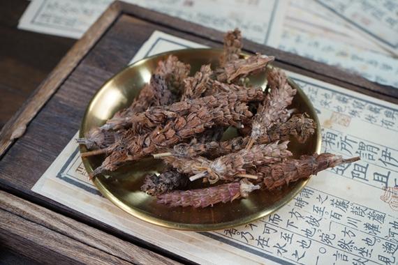 夏枯草能降血糖吗游戏截图