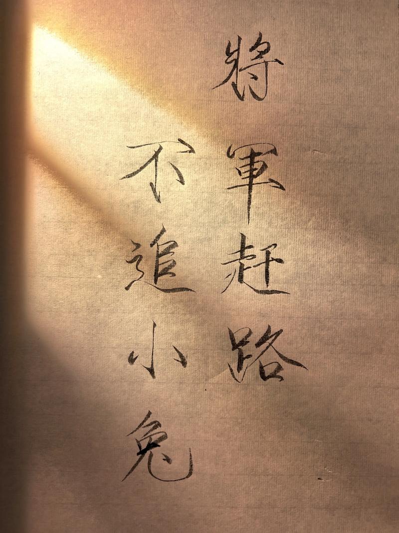 将军赶路,不打野兔