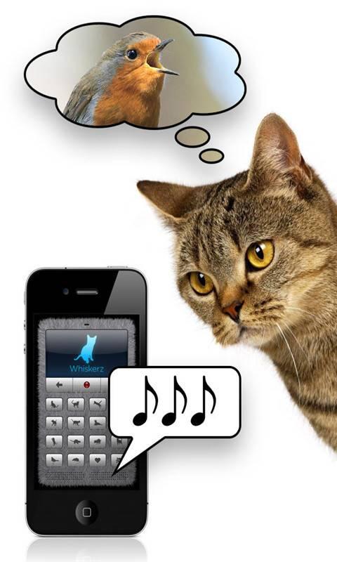 猫语翻译器中文截图