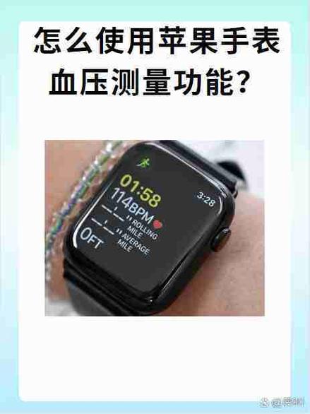 苹果手表如何测血压截图