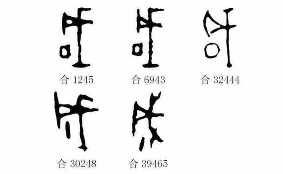 成的甲骨文