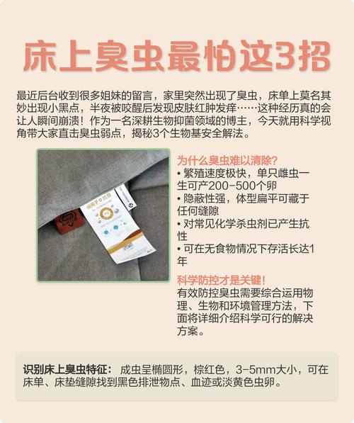 床上的臭虫怎么去除简单方法