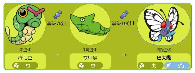 绿毛虫进化路线