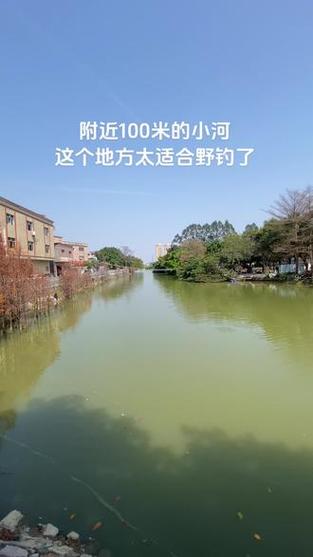 附近钓鱼的地方