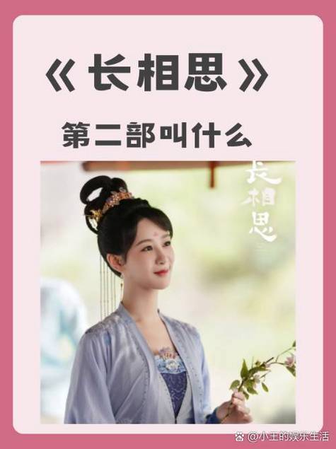 长相思电视剧的作者