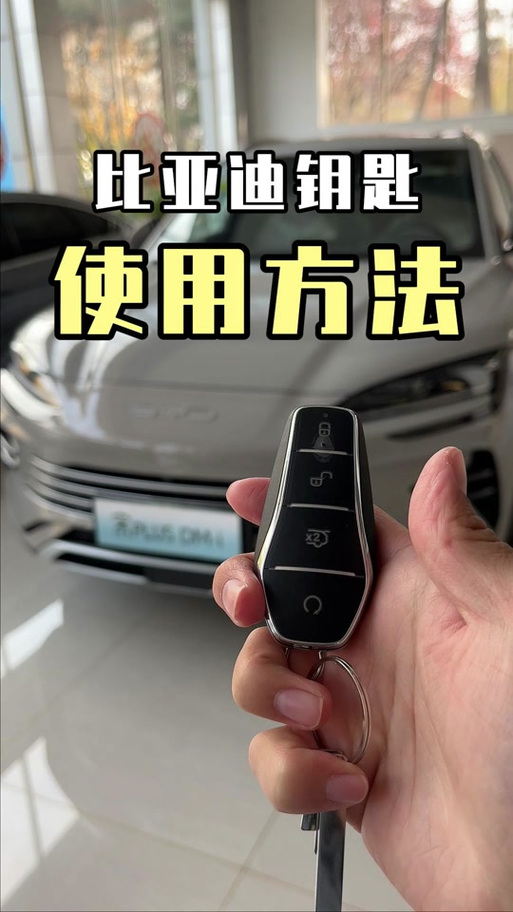 比亚迪蓝牙钥匙2.2.5图标