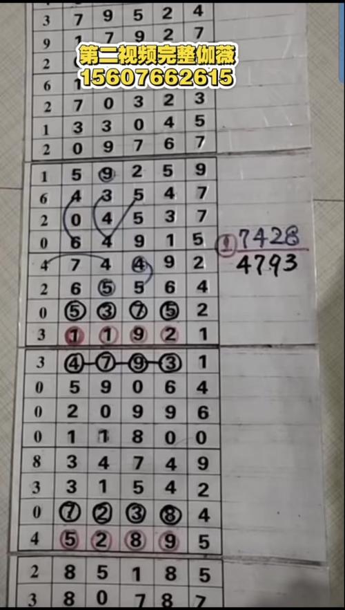 排列五的基本走势图连线标准版