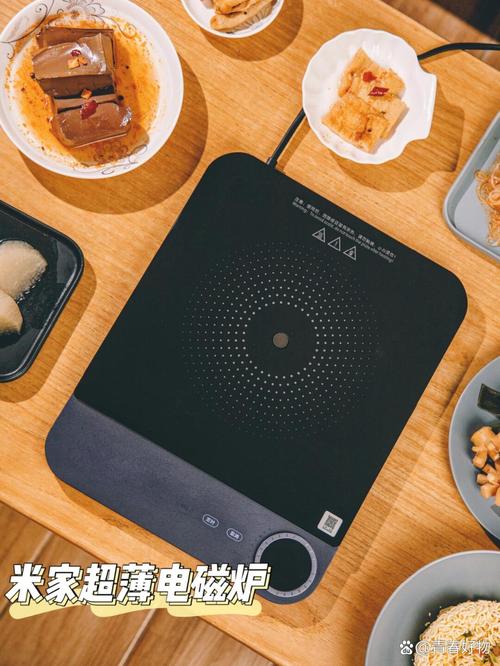 电磁炉可以用哪些锅具