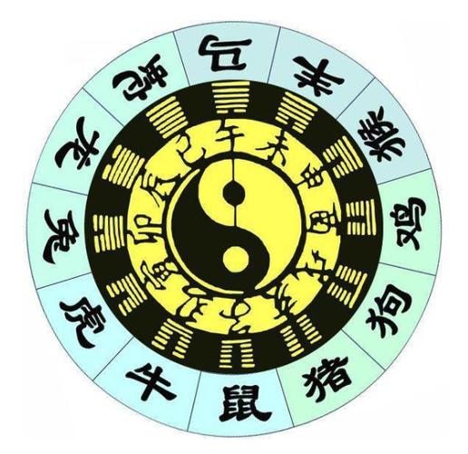 2019猪五行属什么