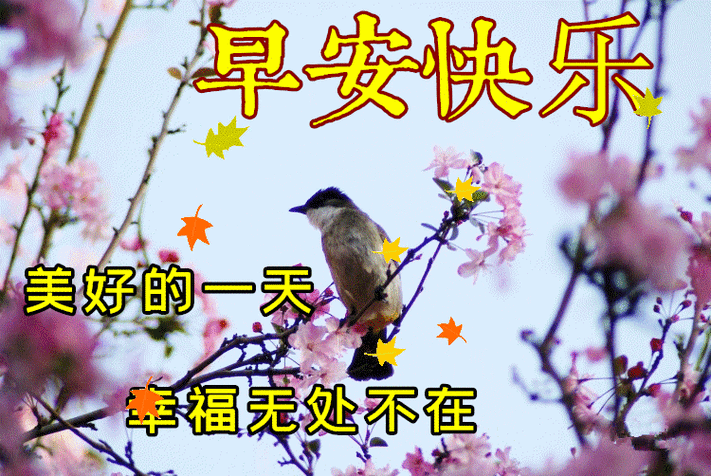 今日头条祝福图片
