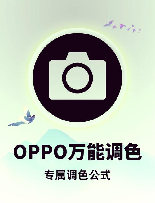 oppo怎么开反转颜色