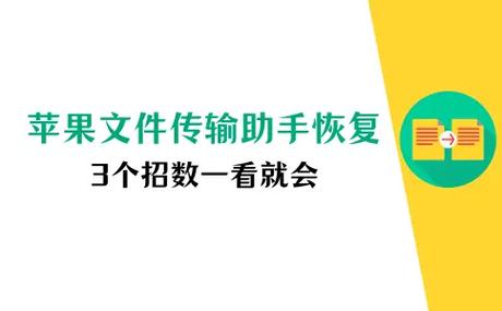 误加了文件传输助手怎么删掉