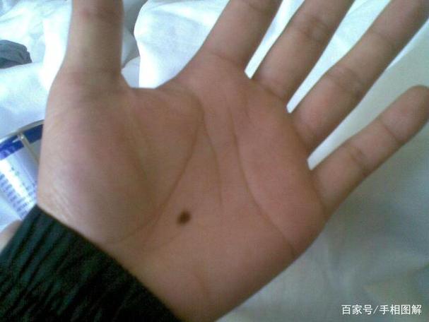 掌心痣(SP)黑猫