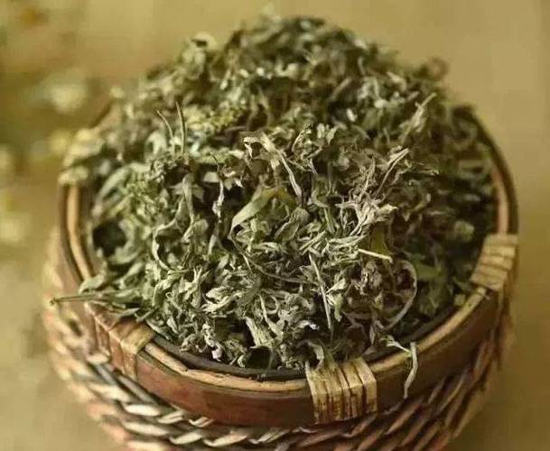 干枯的艾草能用吗缩略图