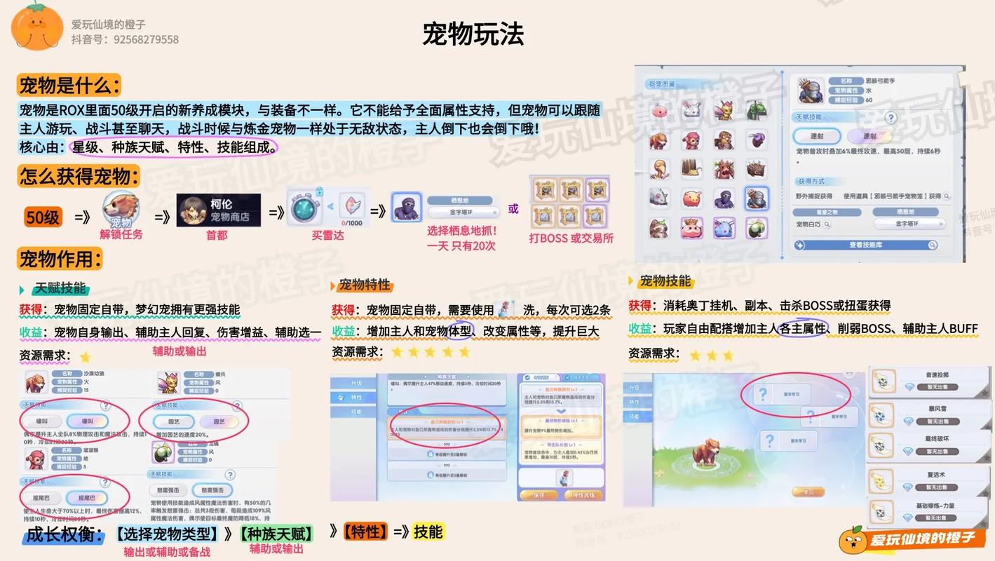 仙境传说ro多拉贡岛怎么去图标