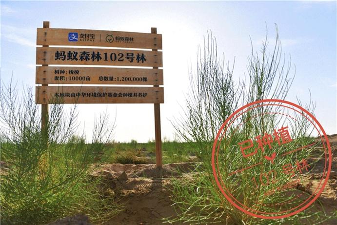 蚂蚁森林公司