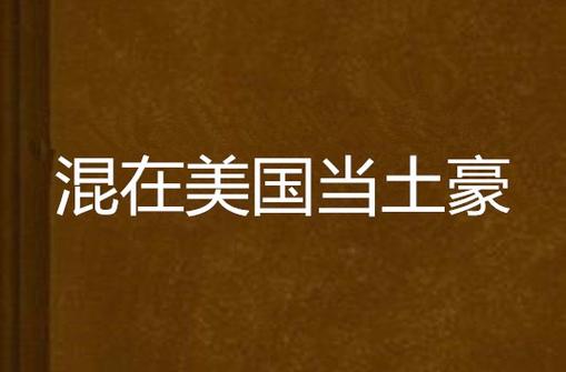 混在美国当土豪
