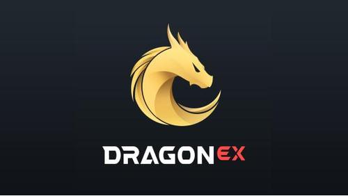 龙网APP