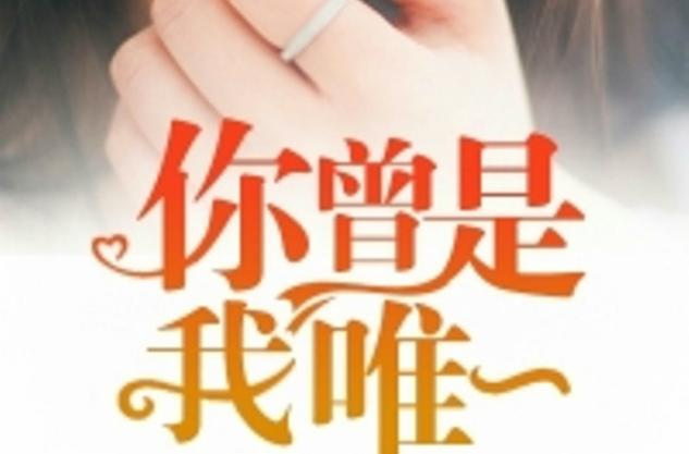 你曾是我唯一免费阅读