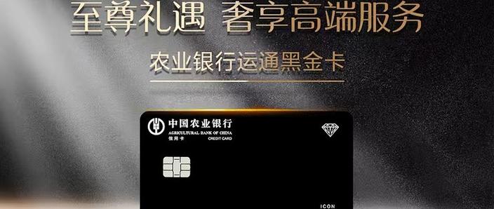 农行挂失补卡要多少钱游戏截图