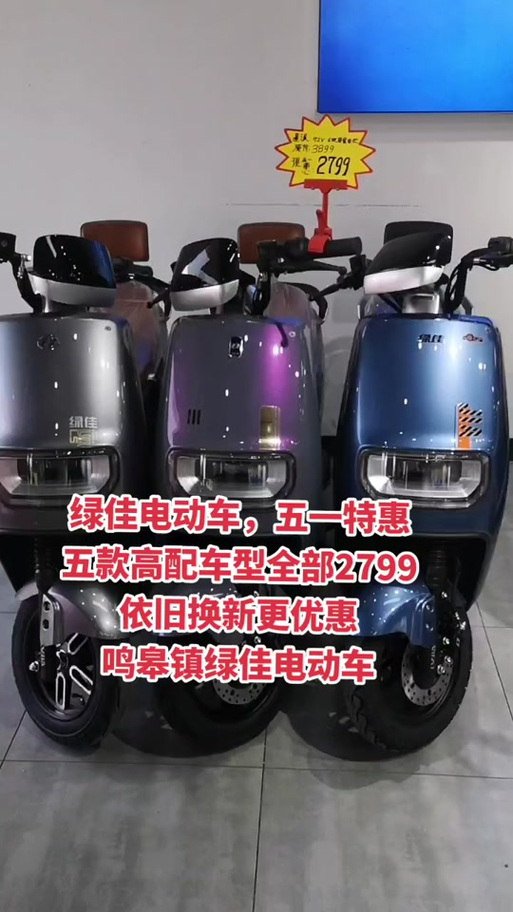 绿佳电动车怎么看型号