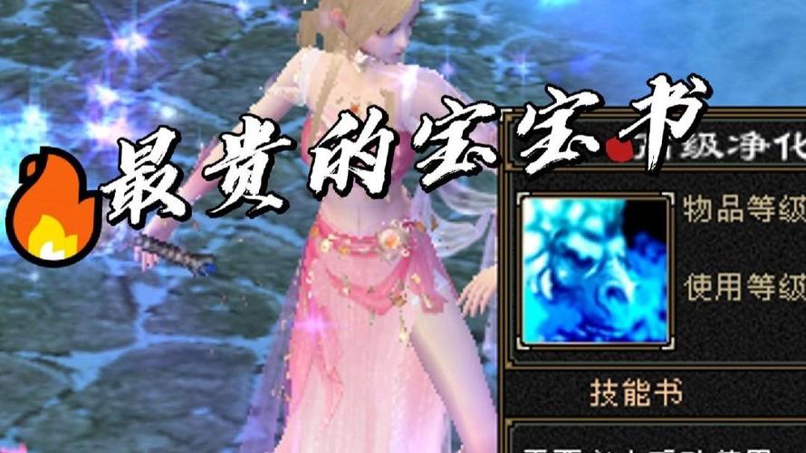 高级净化技能书